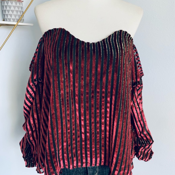 Caroline Constas • Gabrielle Velvet Bustier • Meghan King • SZ S • Retail $445 - Picture 8 of 14